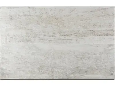 TAIGA GRIGIO 25X40 2 II