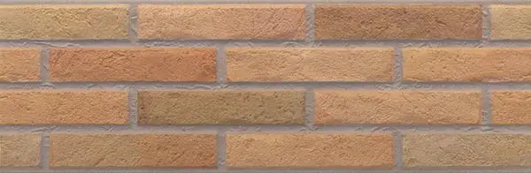 ASCOT FUEGO 20X60 0,84