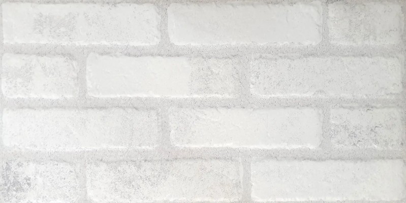 BRICCO BIANCO 31X61,8 1,35