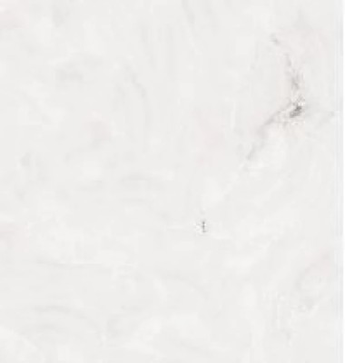 PG ROYAL ONYX B819 60X60 1,44