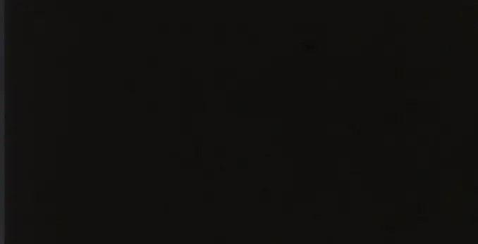 NEGRO BISELADO MATT 10X20 1