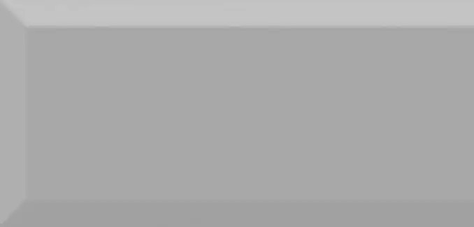 PLATA LISO MATE 10X30 1,02