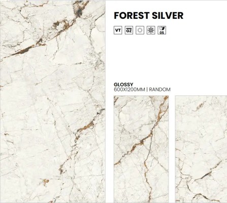PG FOREST SILVER 60X120 1,44