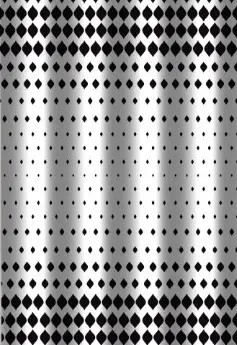 ZAVESA ZA KADU BLA&WHA 180X200